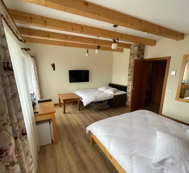 Majatalo Villa Montana Borsec