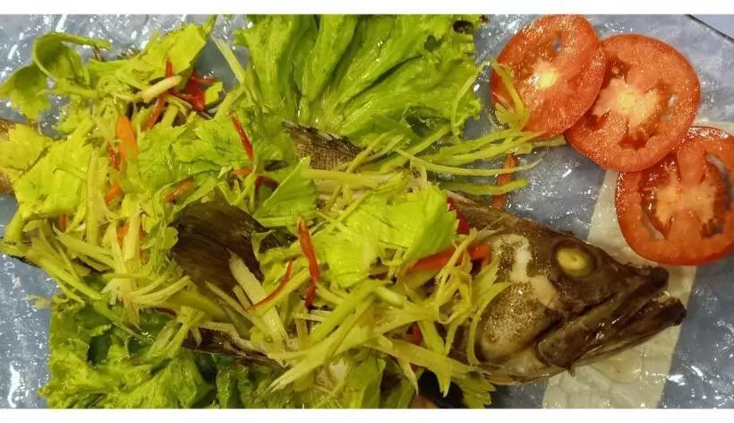 8ik88 Resort   Sha Extra Plus