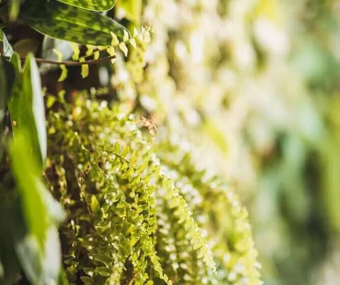 Aamiaismajoitus (B&B) Little House