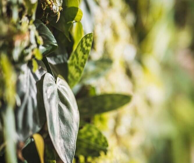 مبيت وإفطار Little House