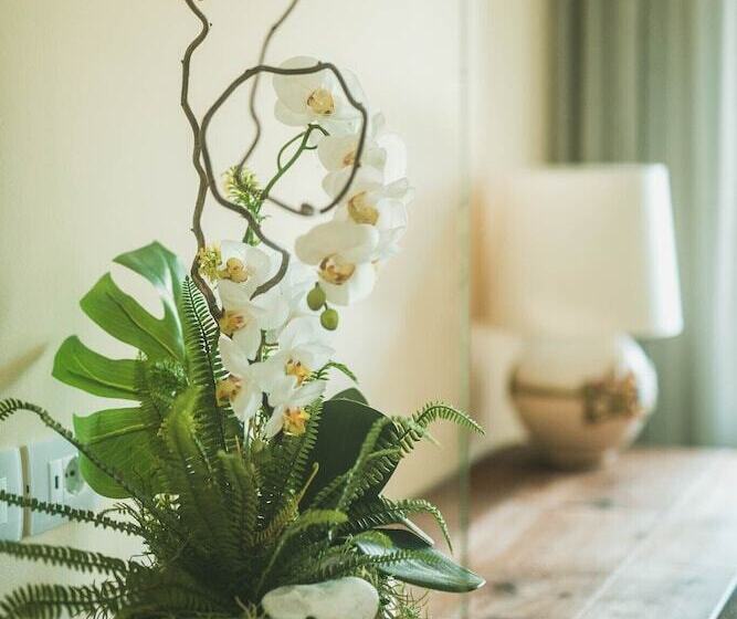 مبيت وإفطار Little House