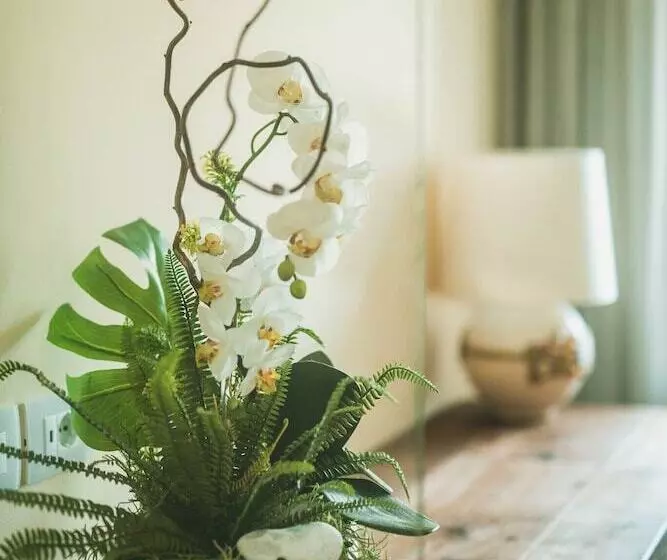 Aamiaismajoitus (B&B) Little House