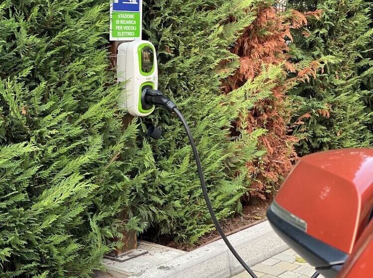 مبيت وإفطار Little House