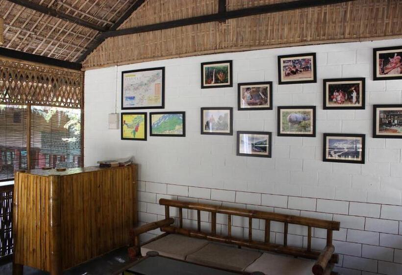 Bed and Breakfast Nature Hunt Eco Camp