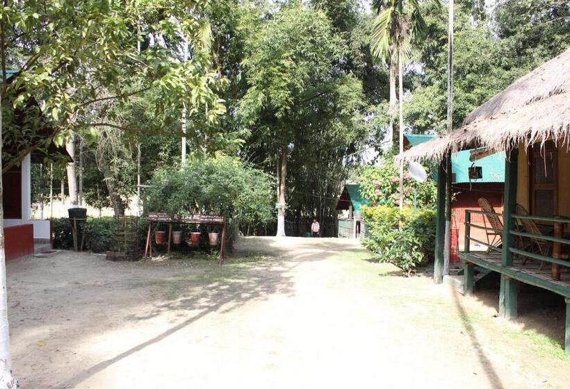 Bed and Breakfast Nature Hunt Eco Camp