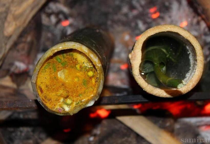 Bed and Breakfast Nature Hunt Eco Camp