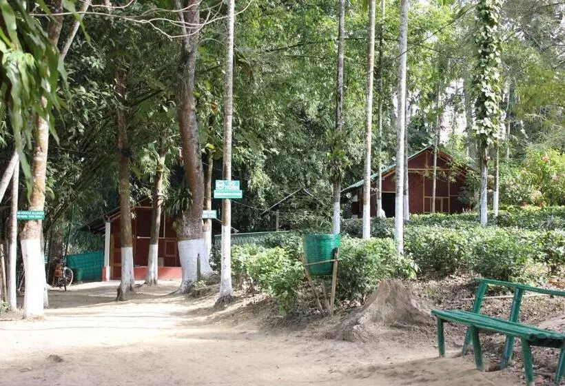 Aamiaismajoitus (B&B) Nature Hunt Eco Camp