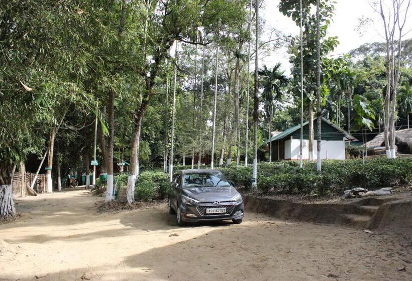 Bed and Breakfast Nature Hunt Eco Camp