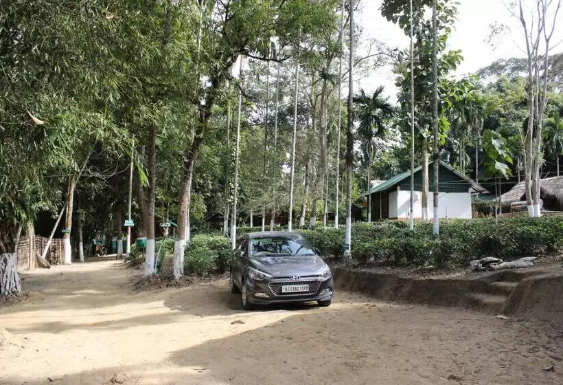 Aamiaismajoitus (B&B) Nature Hunt Eco Camp