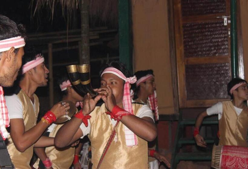 Bed and Breakfast Nature Hunt Eco Camp