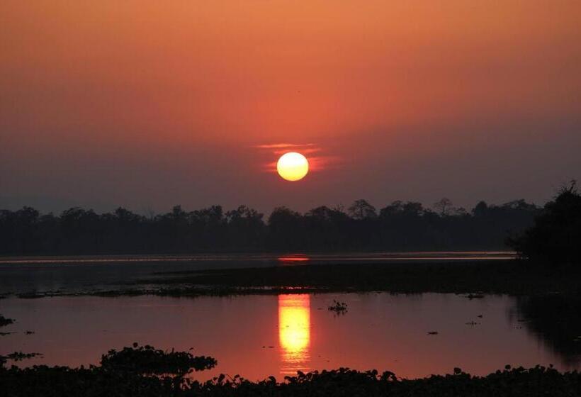 Bed and Breakfast Nature Hunt Eco Camp