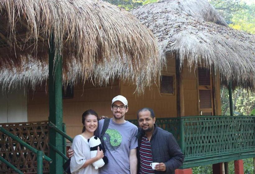 Bed and Breakfast Nature Hunt Eco Camp