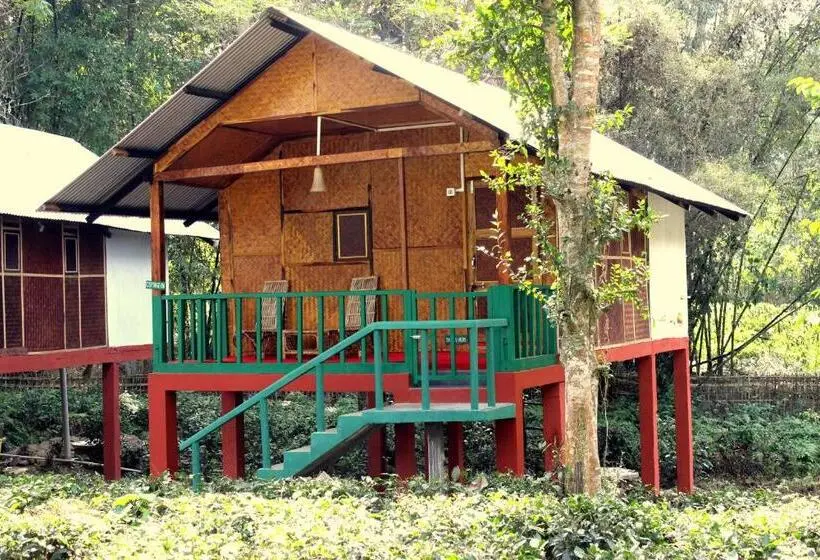 ベッドアンドブレックファースト Nature Hunt Eco Camp