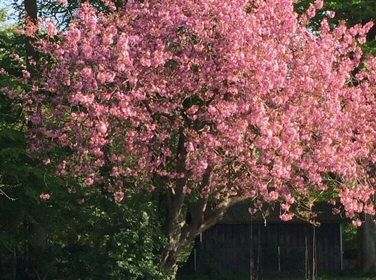 צימר Vita Huset På österlen