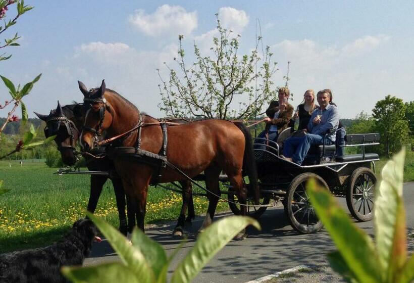 Bed and Breakfast Weingut Herbert Kram