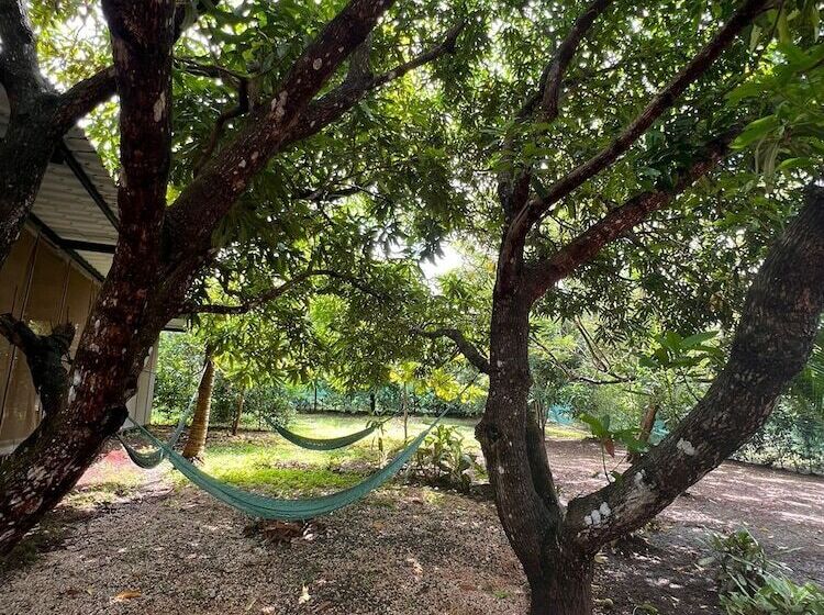 호텔 Drift Away Lodge