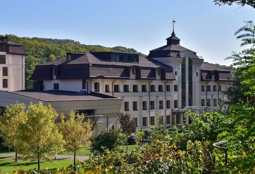 Hotelli Irys By Derenivska Kupil