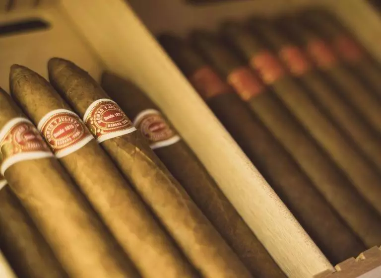 ホテル Le Manoir Vionnaz