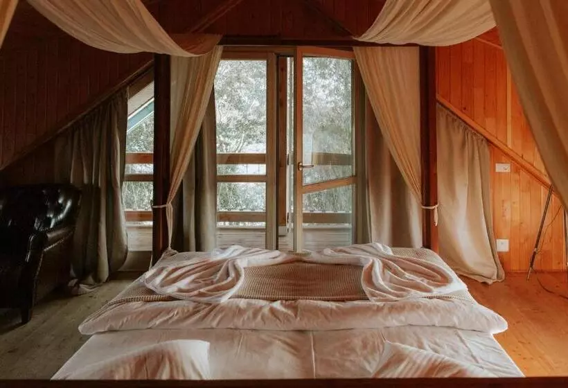 ホテル Living In Delta   Casa De Vacanta