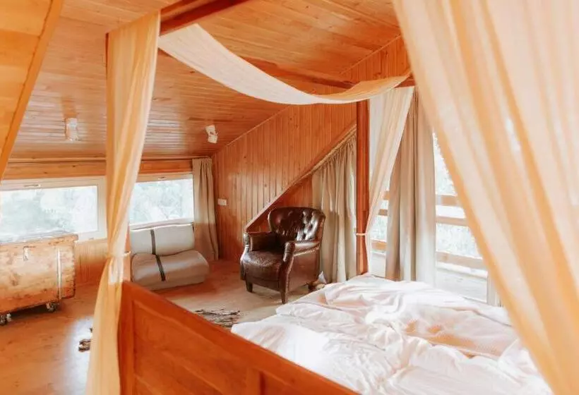 ホテル Living In Delta   Casa De Vacanta