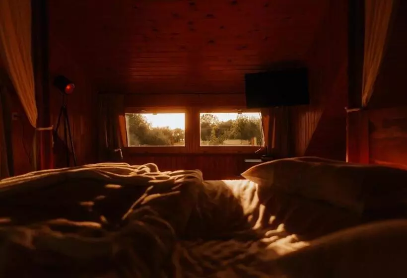 ホテル Living In Delta   Casa De Vacanta