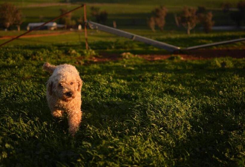 Hotelli Wantana Cottage Farmstay