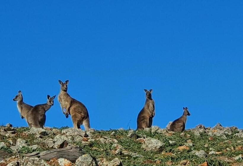 Hotelli Wantana Cottage Farmstay
