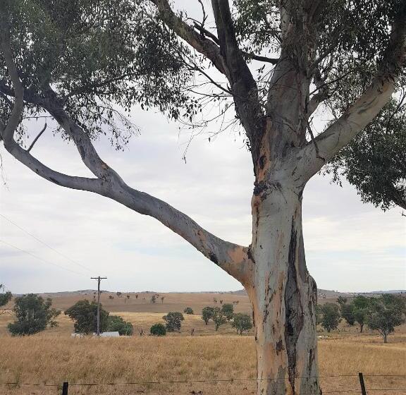 Hotelli Wantana Cottage Farmstay