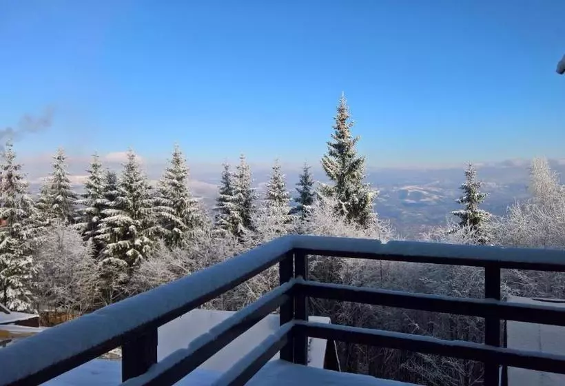 ペンション Casa Miorița