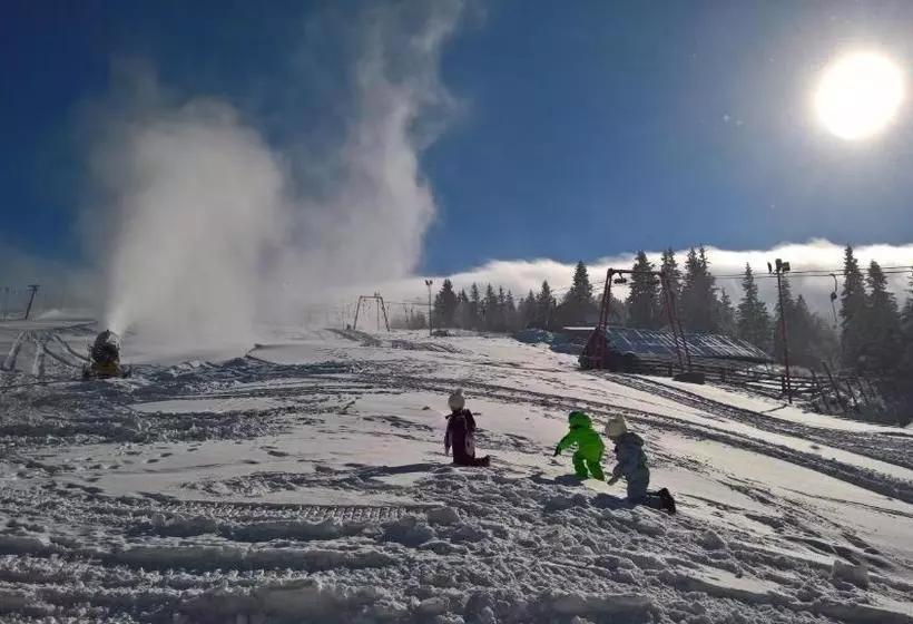 ペンション Casa Miorița