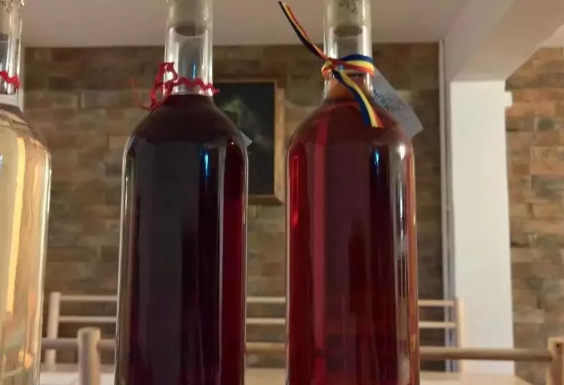 ペンション Casa Miorița