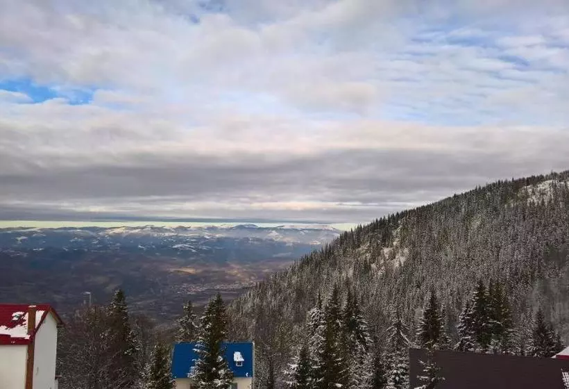 ペンション Casa Miorița