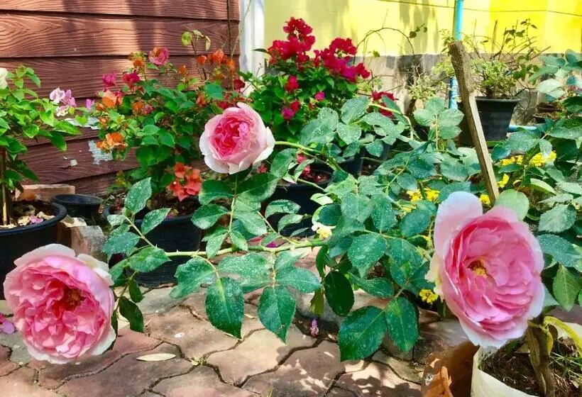 Majatalo Daddy S Homestay