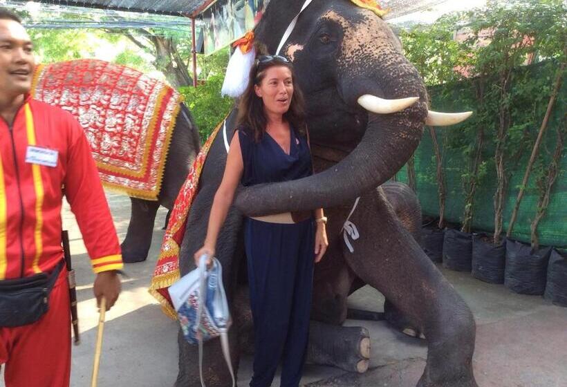 Panzió Daddy S Homestay