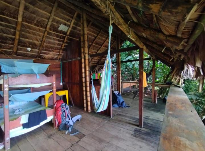 Panzió The Humpback Turtle