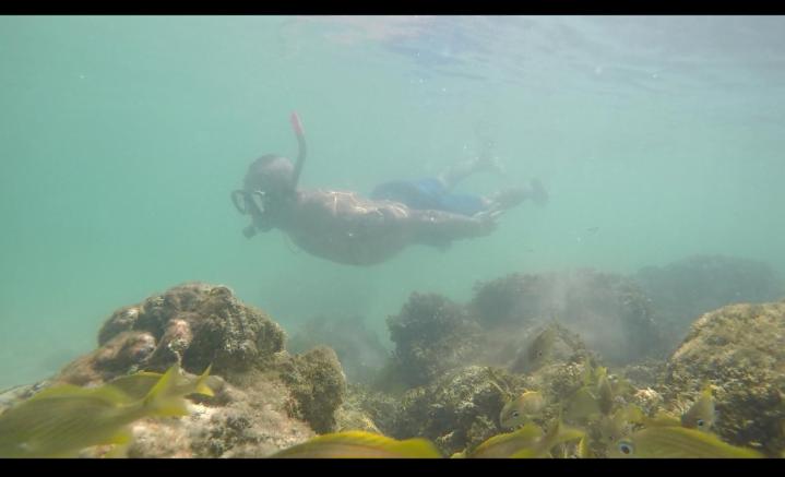 پانسیون Vista Linda Cabaña