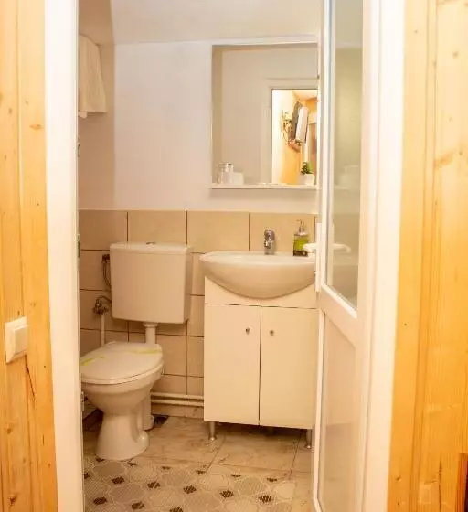 Pensiunea Casa Ioana