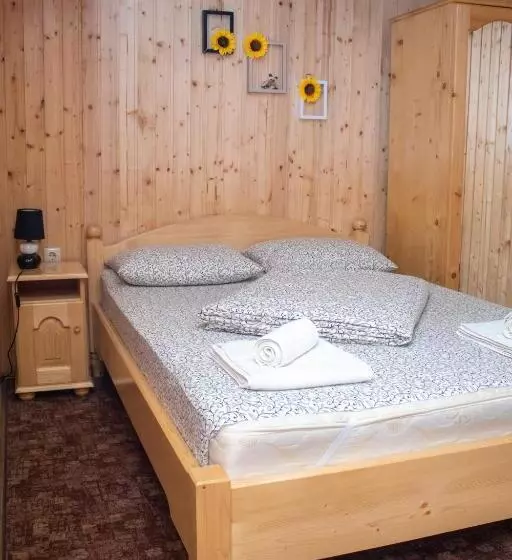 Pensiunea Casa Ioana