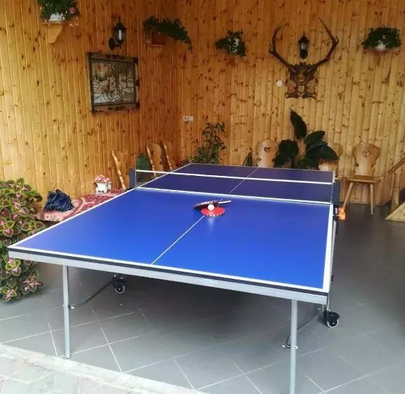 Pensiunea Casa Ioana