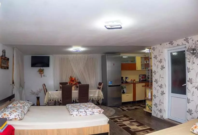 Pensiunea Casa Ioana