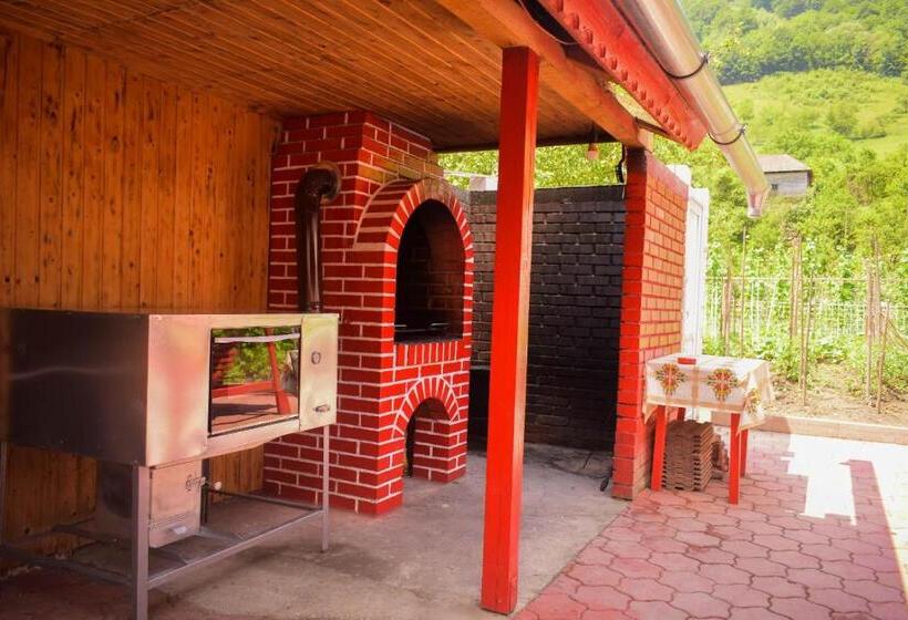 Pensiunea Casa Ioana