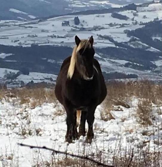 مبيت وإفطار Cabane Spa Sauna