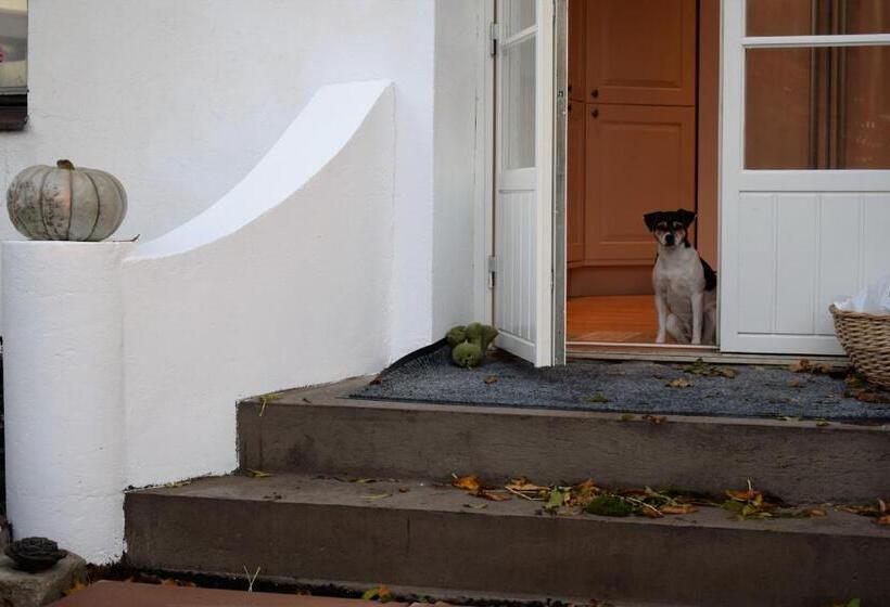 Bed & Breakfast Vragerups Gård