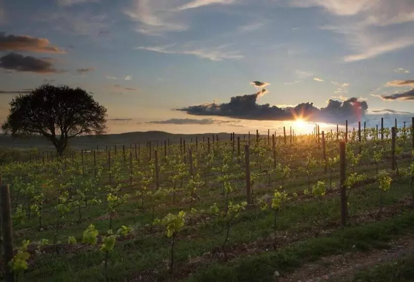 ホテル Agriturismo Poggio Al Sasso