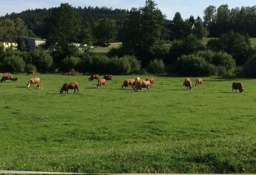 酒店 Biohof Höbarth