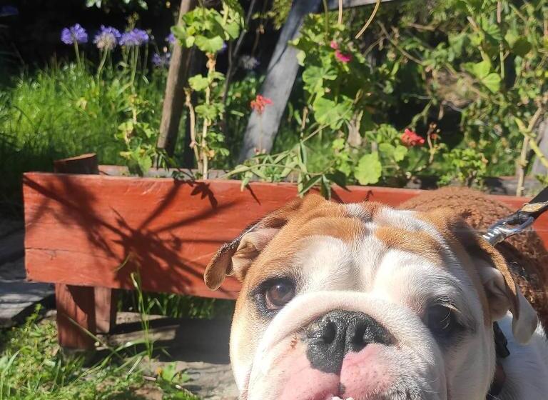 Отель Brisas Del Nevado