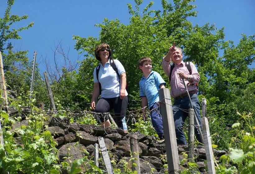 Отель Domittner