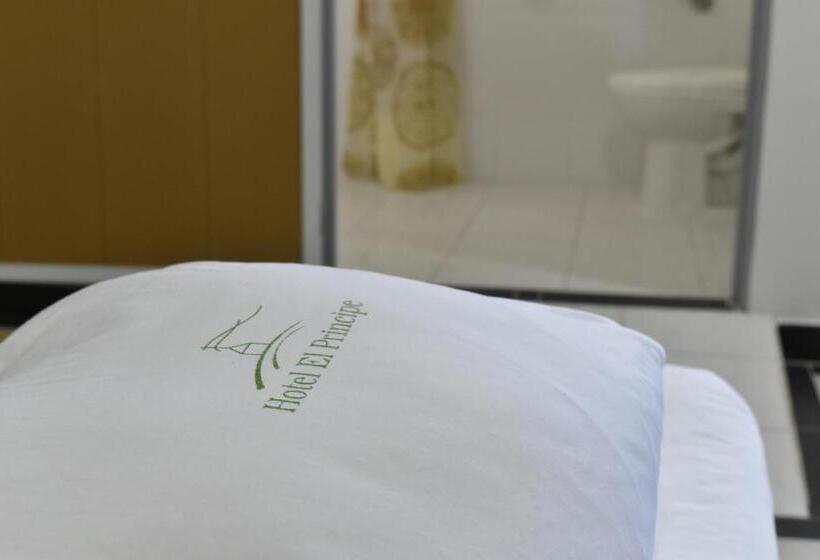 בית מלון כפרי El Principe Sede Campestre