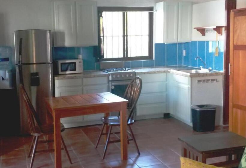 ホテル Mayan Beach Garden