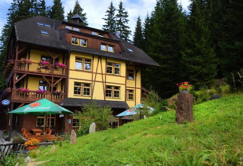 בית מלון כפרי Modrava